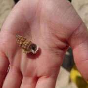 ヒメ日記 2026/04/16 02:52 投稿 もか SOAPLAND LOVE FACTORY