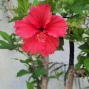 ヒメ日記 2026/04/19 02:42 投稿 もか SOAPLAND LOVE FACTORY