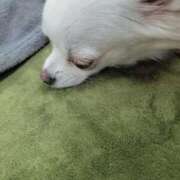 ヒメ日記 2026/04/25 23:52 投稿 もか SOAPLAND LOVE FACTORY