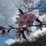 ヒメ日記 2026/05/03 14:17 投稿 もか SOAPLAND LOVE FACTORY
