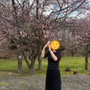 ヒメ日記 2026/05/10 09:32 投稿 もか SOAPLAND LOVE FACTORY
