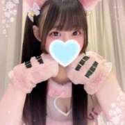 ヒメ日記 2026/03/17 10:27 投稿 るいね ルーフ福井