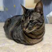 ヒメ日記 2026/03/18 14:20 投稿 のん イキなり生彼女from大宮