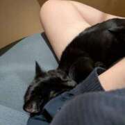 ヒメ日記 2026/03/24 21:51 投稿 のん イキなり生彼女from大宮