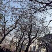 ヒメ日記 2026/03/30 17:50 投稿 のん イキなり生彼女from大宮