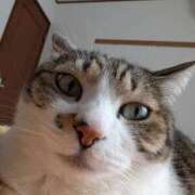 ヒメ日記 2026/04/04 08:20 投稿 のん イキなり生彼女from大宮