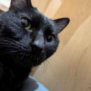 のん 本日出勤です！ イキなり生彼女from大宮