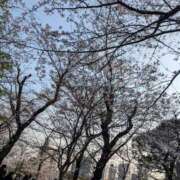 ヒメ日記 2026/04/12 20:20 投稿 のん イキなり生彼女from大宮