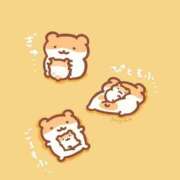 ヒメ日記 2026/04/02 21:32 投稿 れん S級美女専門　ロイヤルリング