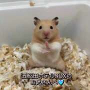 ヒメ日記 2026/04/11 15:55 投稿 れん S級美女専門　ロイヤルリング