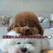 ヒメ日記 2026/04/16 12:16 投稿 れん S級美女専門　ロイヤルリング