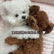 ヒメ日記 2026/04/16 13:33 投稿 れん S級美女専門　ロイヤルリング