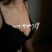 ヒメ日記 2026/04/22 08:47 投稿 れん S級美女専門　ロイヤルリング