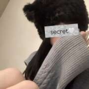 ヒメ日記 2026/04/23 09:24 投稿 れん S級美女専門　ロイヤルリング