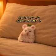 ヒメ日記 2026/04/24 10:40 投稿 れん S級美女専門　ロイヤルリング