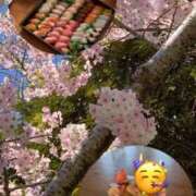 ヒメ日記 2026/04/09 11:45 投稿 ゆり エンジェルハンズ