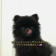 ヒメ日記 2026/04/16 15:43 投稿 れん 東京デザインリング錦糸町店