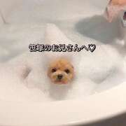 ヒメ日記 2026/04/19 09:09 投稿 れん 東京デザインリング錦糸町店