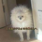 ヒメ日記 2026/04/23 10:22 投稿 れん 東京デザインリング錦糸町店