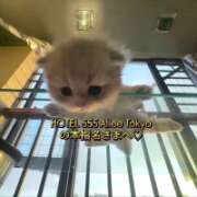 ヒメ日記 2026/04/24 10:10 投稿 れん 東京デザインリング錦糸町店
