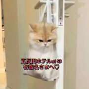 ヒメ日記 2026/04/24 10:26 投稿 れん 東京デザインリング錦糸町店
