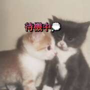 れん たいきちゅー🎶🎶 東京デザインリング錦糸町店