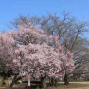 ヒメ日記 2026/03/27 14:51 投稿 神城まつり 五十路マダム 沼津店(カサブランカグループ)