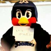 ヒメ日記 2026/04/28 14:56 投稿 ゆずき スイカ