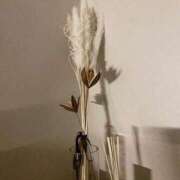 ヒメ日記 2026/05/20 06:00 投稿 菊池　理子 ～逢～tokyo
