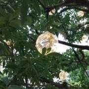 ヒメ日記 2026/06/10 13:50 投稿 菊池　理子 ～逢～tokyo