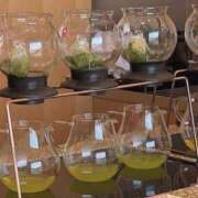 ヒメ日記 2026/07/18 06:30 投稿 菊池　理子 ～逢～tokyo