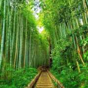 ヒメ日記 2026/09/01 05:50 投稿 菊池　理子 ～逢～tokyo