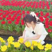 ヒメ日記 2026/04/02 06:58 投稿 美和くれあ ウルトラロイヤル