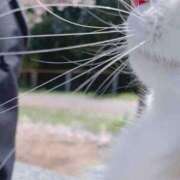 ヒメ日記 2026/04/03 18:22 投稿 せとか 錦センター