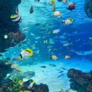 ヒメ日記 2026/04/13 17:52 投稿 せとか 錦センター