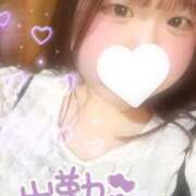 ヒメ日記 2026/04/28 13:40 投稿 ネネ ぽっちゃり巨乳専門店 町田相模原ちゃんこ