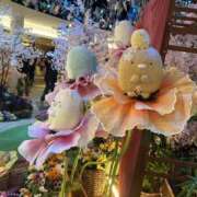 ヒメ日記 2026/03/21 19:22 投稿 こうめ スピード梅田店