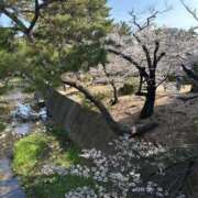 ヒメ日記 2026/04/03 18:52 投稿 こうめ スピード梅田店