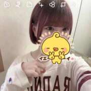 ヒメ日記 2026/04/08 12:31 投稿 白石　ここ NADIA神戸店