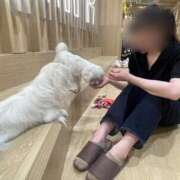 ヒメ日記 2026/05/12 21:12 投稿 ゆり Hip's千葉駅前店