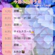 ヒメ日記 2026/06/01 20:29 投稿 こうき 鶯谷おかあさん