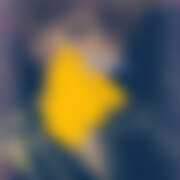 ヒメ日記 2026/03/29 22:40 投稿 あおい さくらん