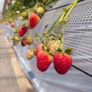 ヒメ日記 2026/04/09 23:39 投稿 さきな ぐっすり山田 五反田店