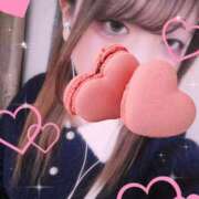 ヒメ日記 2026/04/03 18:20 投稿 うい 人妻の輝き(大阪)