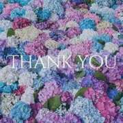 ヒメ日記 2026/04/06 04:30 投稿 うい 人妻の輝き(大阪)