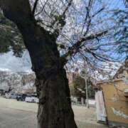 ヒメ日記 2026/04/02 22:35 投稿 りか 上野・鶯谷スピン