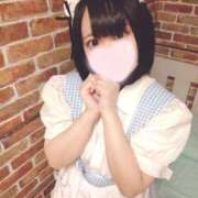 ヒメ日記 2026/04/29 10:24 投稿 綾瀬まりの メイドin中野（東京ハレ系）