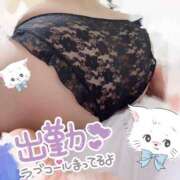 ヒメ日記 2026/03/16 14:17 投稿 【SP】かぐら サマンサ(和歌山)