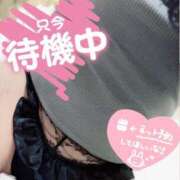 ヒメ日記 2026/03/17 12:21 投稿 【SP】かぐら サマンサ(和歌山)