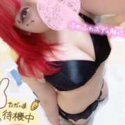 ヒメ日記 2026/03/19 22:31 投稿 【SP】かぐら サマンサ(和歌山)